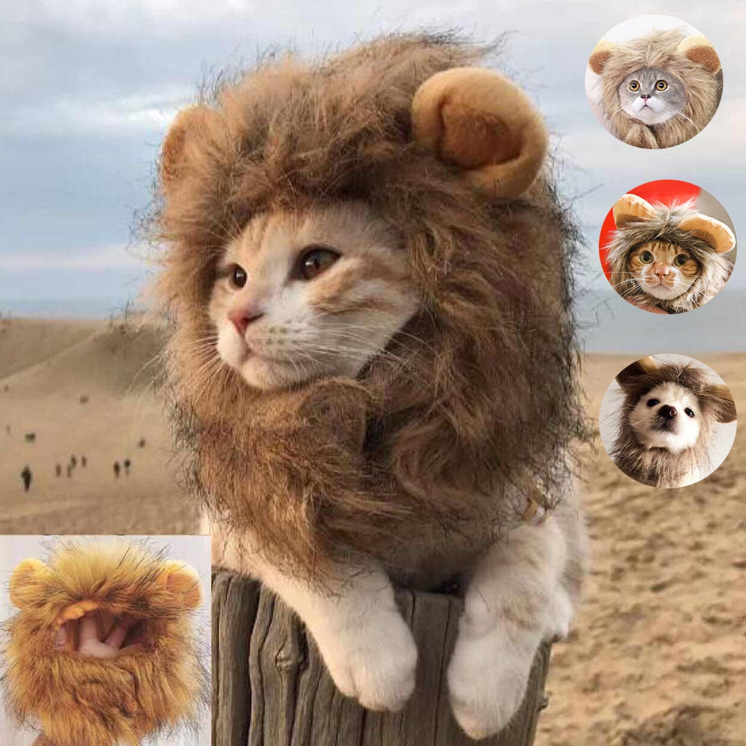 Lion Mane Cat Costume